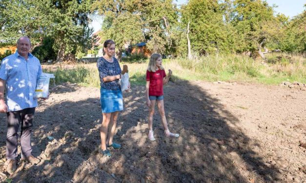 Schillsdorfer Bürger haben eine Patenschaft für den alten Apfelgarten am Kirchenweg übernommen.