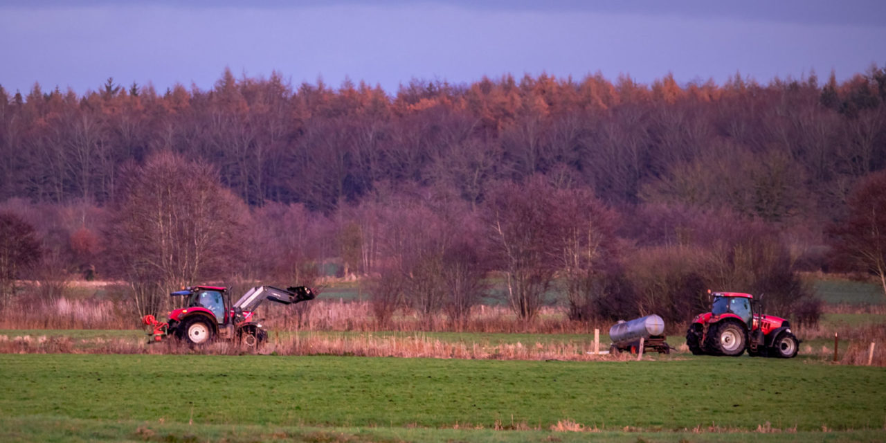 Schleswig-Holstein / Wenige Tage nach der Berlinfahrt der Bauern ziehen die Schillsdorfer Henry von Bülow und Thomas Prien sowie Henrik Loop aus Bönebüttel Bilanz.