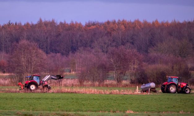 Schleswig-Holstein / Wenige Tage nach der Berlinfahrt der Bauern ziehen die Schillsdorfer Henry von Bülow und Thomas Prien sowie Henrik Loop aus Bönebüttel Bilanz.