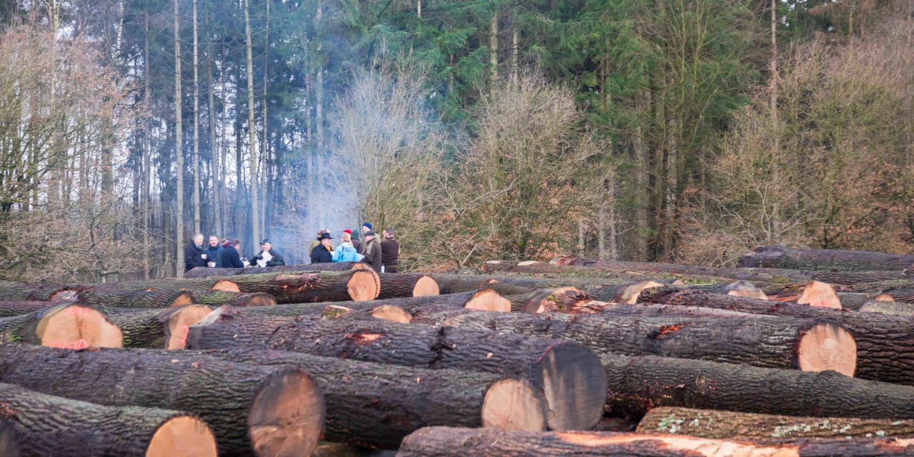 Das 48. Holzschaufenster des Nordens ist geschlossen. 3.600 Festmeter Wertholz wurden verkauft.