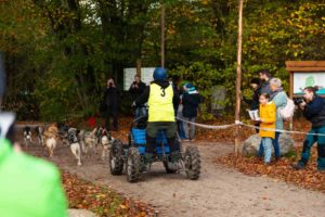 120 Kilo wiegt so ein Rollwagen. Dazu kommen im Fall von Alexandra Augsten aus Engelschoff das Gewicht von Freundin Ivonne als Begleitfahrerin und das Gewicht der Musherin selbst. „Ein Huskygespann mit acht Hunden beeindruckt das wenig. Deswegen sind gute Bremsen wichtig“, meinte Augsten. 