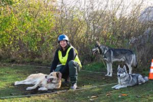 Nach dem Rennen heißt es Hunde versorgen und erst einmal Luft holen. Das rennen im Erlebniswald Trappenkamp hat eine ganz eigene und tolle Atmosphäre, freute sich Musherin Alexandra Augsten, die ihre Leidenschaft auf www.dein-huskyabenteuer.de gern teilt. 