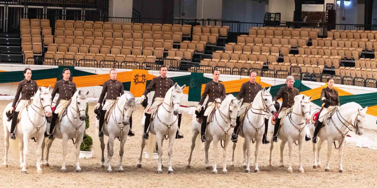 60 Jahre Trakehner Hengstmarkt und eine besondere Premiere unter dem Dach der Holstenhallen. Von heute bis Sonntag bestimmen edle Trakehner Pferde und die Lipizzaner der Spanischen Hofreitschule Wien das Geschehen im Rund der Halle.