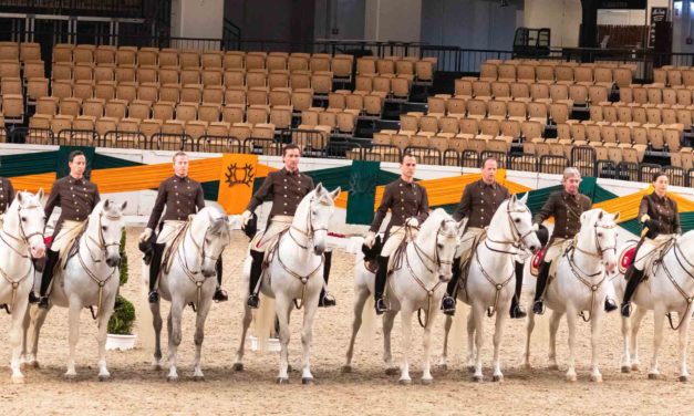 60 Jahre Trakehner Hengstmarkt und eine besondere Premiere unter dem Dach der Holstenhallen. Von heute bis Sonntag bestimmen edle Trakehner Pferde und die Lipizzaner der Spanischen Hofreitschule Wien das Geschehen im Rund der Halle.