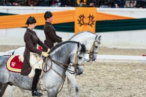 Pas de deux, Tanz der Lipizzaner